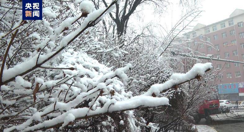 今日黑龙江降雪量将呈现进一步减少的趋势，黑龙江降雪量呈现减少趋势