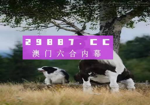 澳门六开彩结果 2023年最新开奖记录分析，澳门六开彩结果分析，最新开奖记录揭秘（2023年）