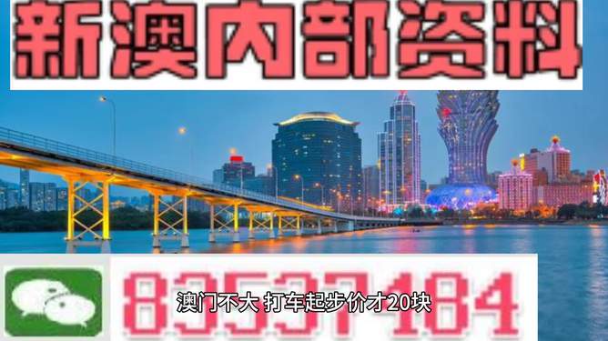 魅力与奥秘探索