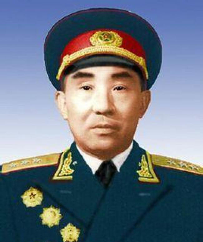 贡献概览