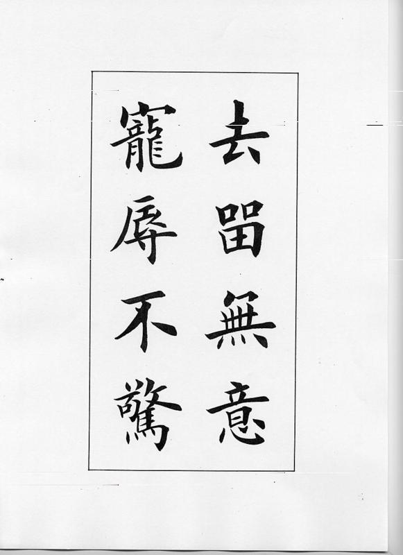 巅峰坦99式全部照片，深度解析与赏析，巅峰坦99式全景照片集，深度解析与细致赏析