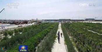 澳门 第32页