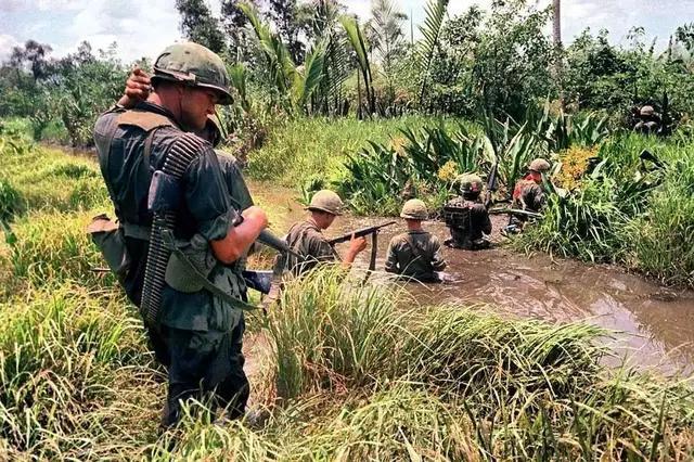 中国女兵在越南战场，英勇转变与海豹的传奇故事，中国女兵在越南战场，英勇转变与海豹传奇之旅