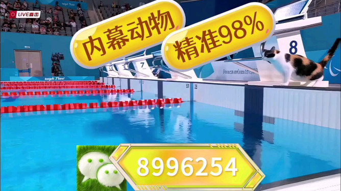 澳门彩票开奖结果王中王预测与解析（2025年展望），澳门彩票王中王预测与解析，展望2025年开奖结果