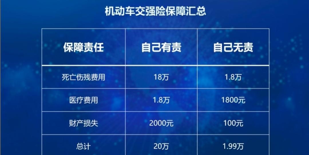 车辆保险费计算平特一肖王中王器，全面解析与实用指南，车辆保险费用计算解析，平特一肖王中王器的实用指南
