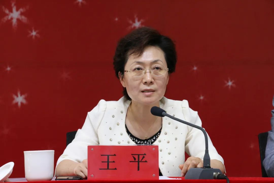 王妃王中王平特一肖，探寻神秘人物与背后的故事，王妃王中王平特一肖，神秘人物背后的故事探寻