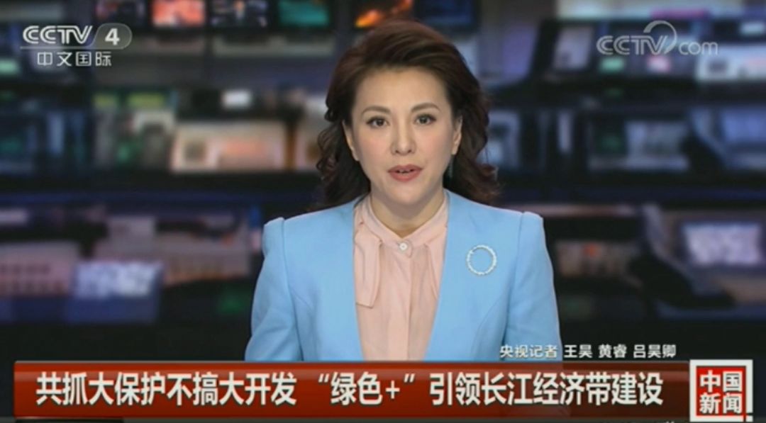 杨欢世界新闻报，报道全球最新动态，杨欢世界新闻报，全球最新动态速递