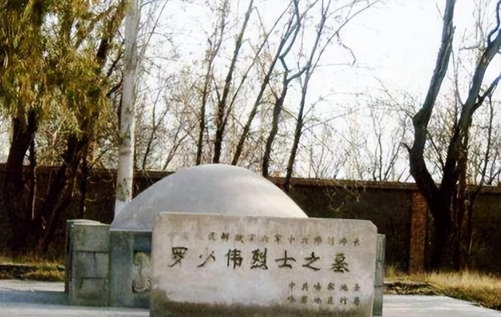解放后杀马家军的历史背景与反思，解放后马家军的覆灭与反思，历史背景探究
