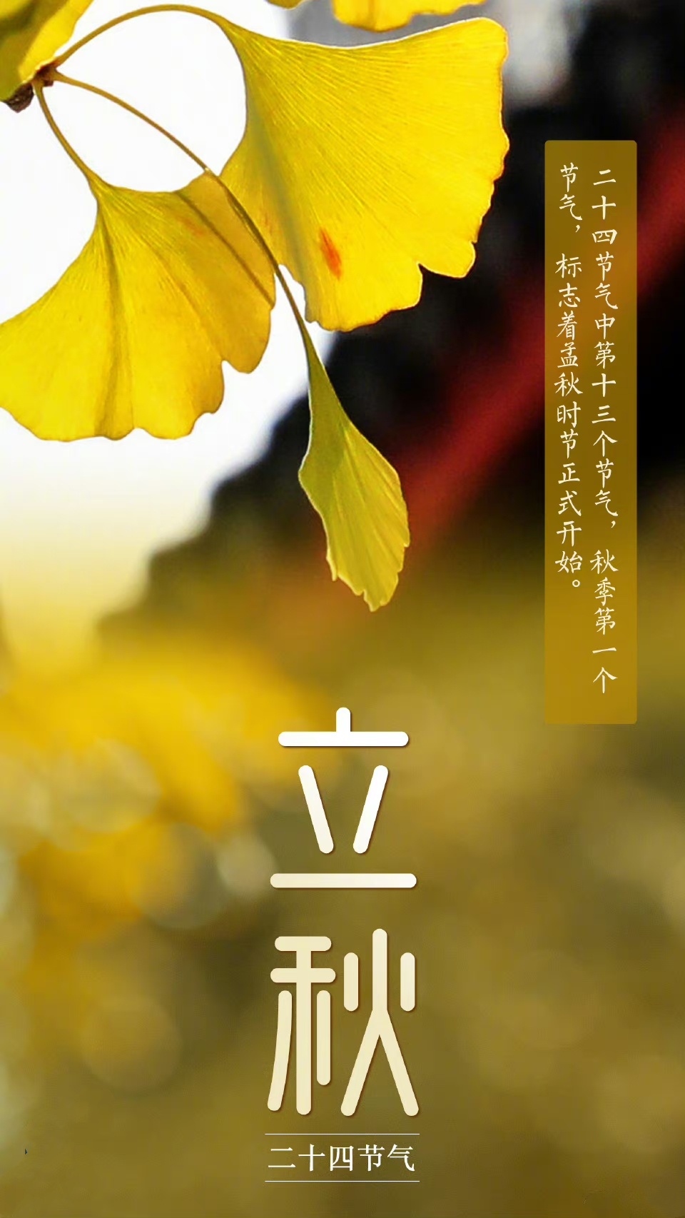 今日立秋，探寻秋天的美好与SEO优化策略，立秋探美，秋天的魅力与SEO优化策略