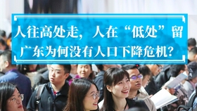 国防军事节目受众分析，国防军事节目受众深度解析