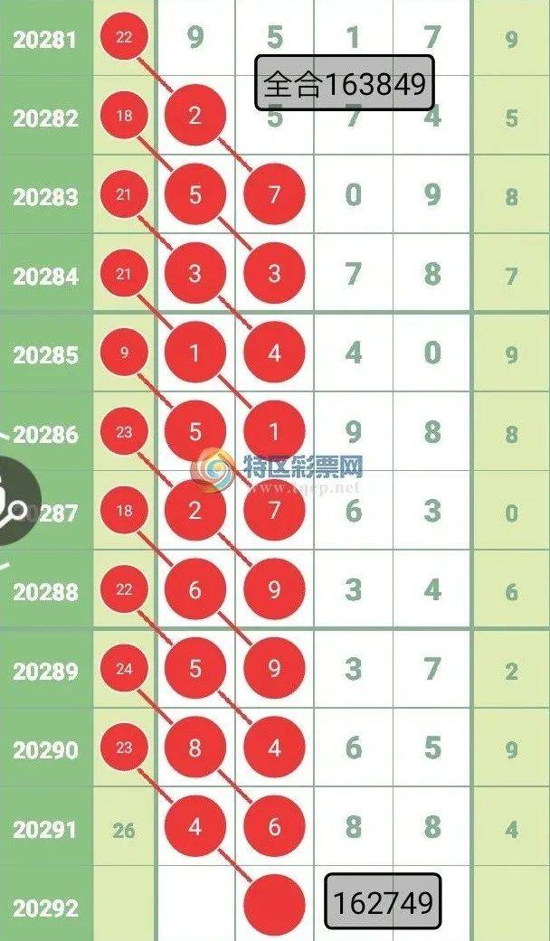 王中王平特一肖四码图，深度解析与SEO优化策略，王中王平特一肖四码图深度解析与SEO优化策略探讨